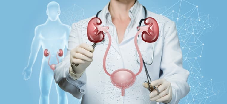 Healthy meal preparation — colourful vegetables and lean protein